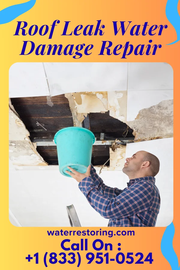 Roof Leak Water Damage Repair in Salida del Sol Estates, TX